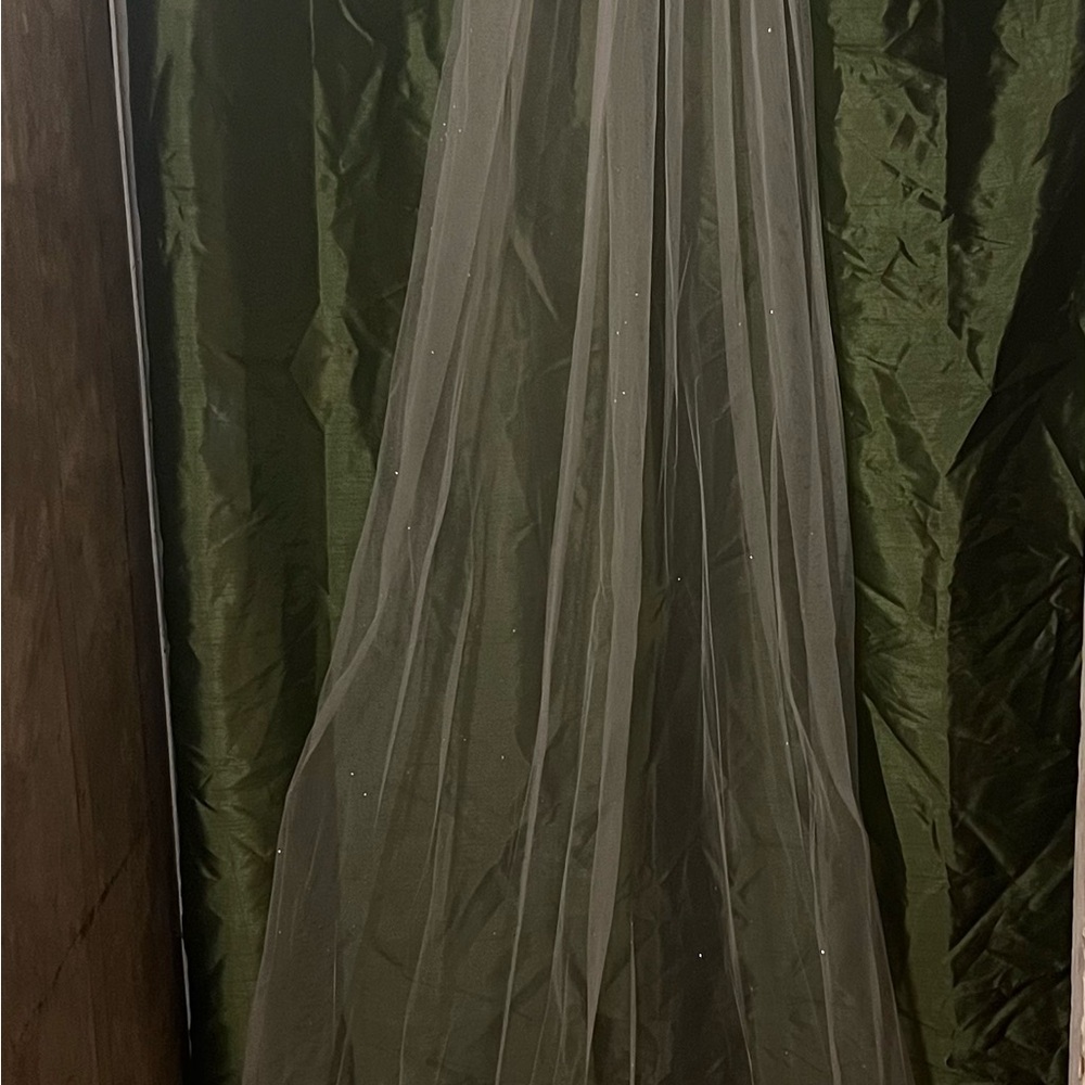 David’s Bridal veil off white
